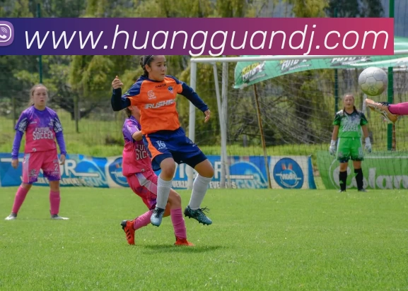 多媒体互动体验